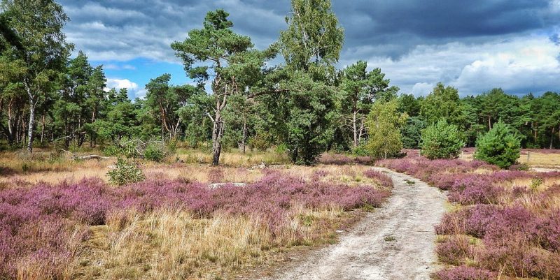 Natuurbegraafplaatsen van Waarde
